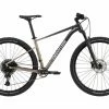 VTT Semi-Rigide Cannondale Trail SL 1 Sram NX/SX Eagle 12V 29'' Gris Meteor Beige