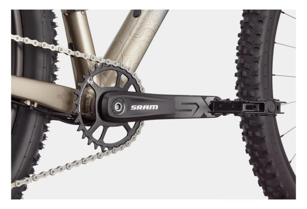 VTT Semi-Rigide Cannondale Trail SL 1 Sram NX/SX Eagle 12V 29'' Gris Meteor Beige – Image 3